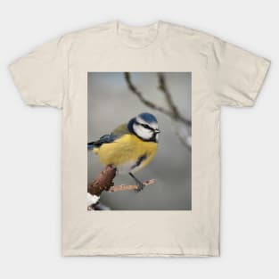 The little bird T-Shirt